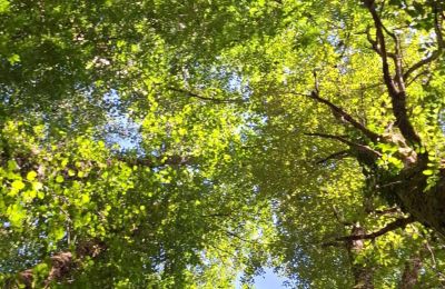 Herrgård till salu Galicien, Bild 38/48