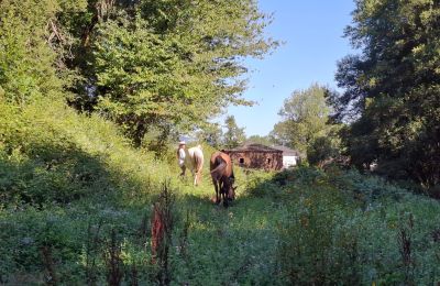 Herrgård till salu Galicien, Bild 42/48