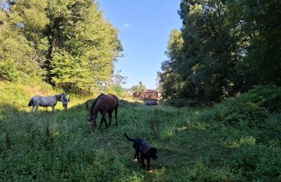 Herrgård till salu Galicien, Bild 43/48