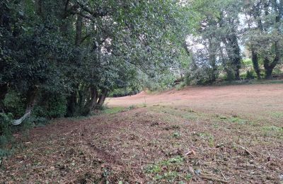 Herrgård till salu Galicien, Bild 44/48