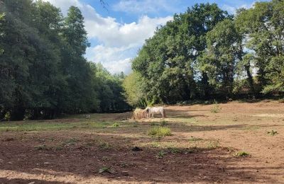 Herrgård till salu Galicien, Bild 46/48