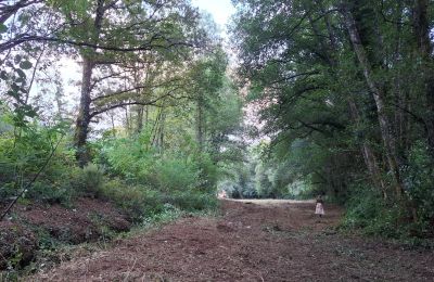 Herrgård till salu Galicien, Bild 47/48