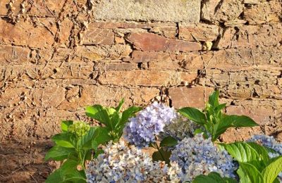 Herrgård till salu Galicien, Bild 8/48