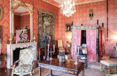 Slot til salg Forcalquier, Provence-Alpes-Côte d'Azur, Billede 7/10