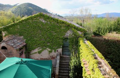 Historisk villa till salu Capannori, Toscana, Bild 11/24