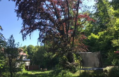 Luxus-Altbauwohnung kaufen Gera, Vollersdorfer Str. 56, Thüringen, Garten mit Buche