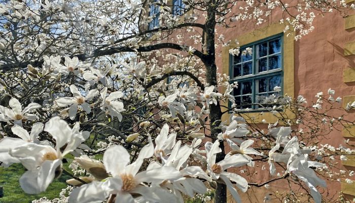 Burg kaufen Mecklenburg-Vorpommern
