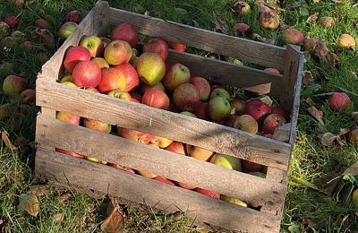 Borg till salu Mecklenburg-Vorpommern, Bild 78/96