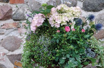 Borg till salu Mecklenburg-Vorpommern, Bild 53/96