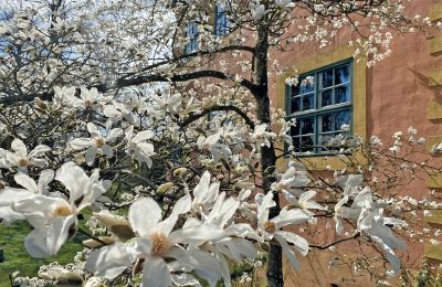 Burg Mecklenburg-Vorpommern