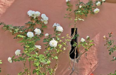 Borg till salu Mecklenburg-Vorpommern, Bild 45/96