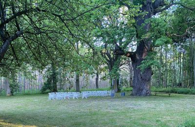 Borg till salu Mecklenburg-Vorpommern, Bild 68/96