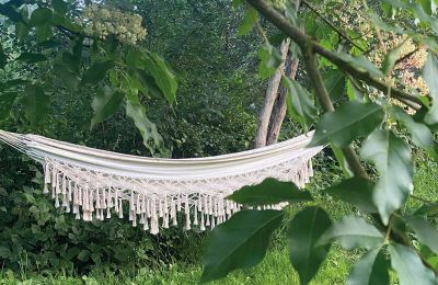 Borg till salu Mecklenburg-Vorpommern, Bild 70/96