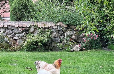 Borg till salu Mecklenburg-Vorpommern, Bild 75/96