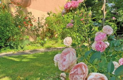 Borg till salu Mecklenburg-Vorpommern, Bild 46/96