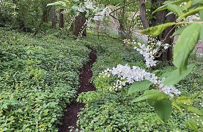 Borg till salu Mecklenburg-Vorpommern, Bild 58/96