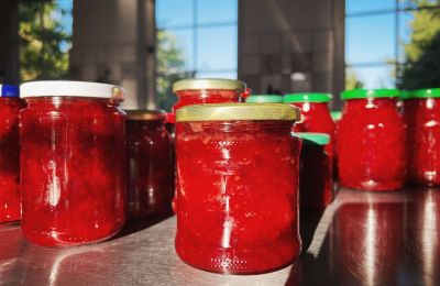 Borg till salu Mecklenburg-Vorpommern, Bild 63/96