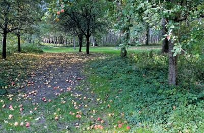 Borg till salu Mecklenburg-Vorpommern, Bild 69/96