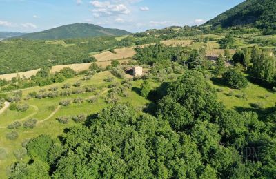 Landhus til salg 06019 Polgeto, Umbria, Billede 26/28
