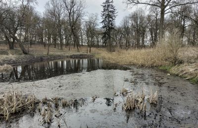 Herregård til salgs Bolkowice, Dwór w Bolkowicach, województwo zachodniopomorskie, Park