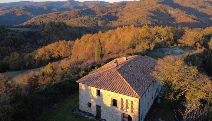  Città di Castello 3