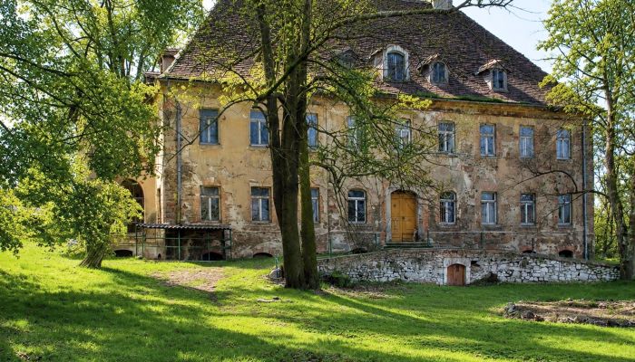  Kostrzyna 4