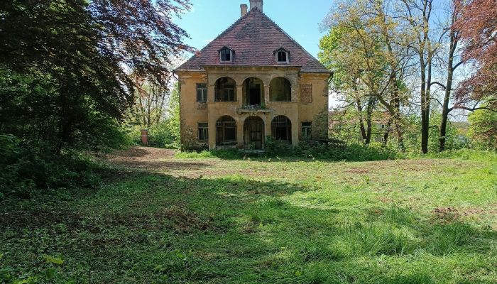 Kostrzyna 3