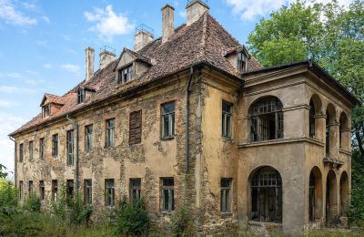 Slot til salg Kostrzyna, Kostrzyna 38, Nedre Schlesien, Billede 2/19