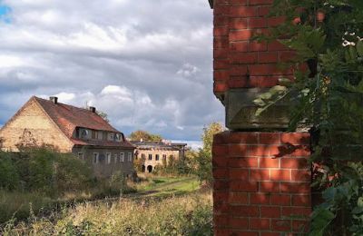 Slot til salg Kostrzyna, Kostrzyna 38, Nedre Schlesien, Billede 6/19