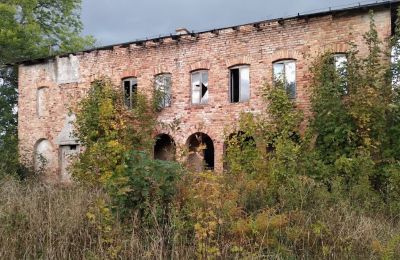 Slot til salg Kostrzyna, Kostrzyna 38, Nedre Schlesien, Billede 9/19
