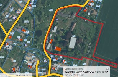 Slot til salg Kostrzyna, Kostrzyna 38, Nedre Schlesien, Billede 19/19