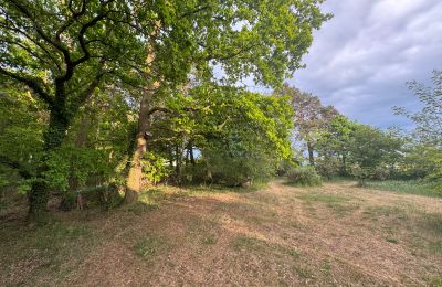 Landhaus kaufen 17375 Leopoldshagen, Mecklenburg-Vorpommern, Gartenblick