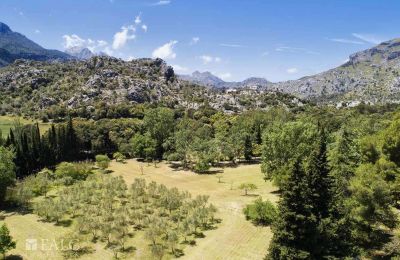 Herrenhaus/Gutshaus kaufen Escorca, Balearische Inseln, finca-escorca-40