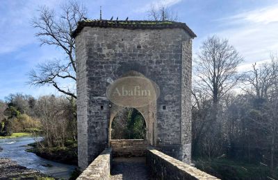Historisk eiendom til salgs Sauveterre-de-Béarn, Nouvelle-Aquitaine, Bilde 24/24