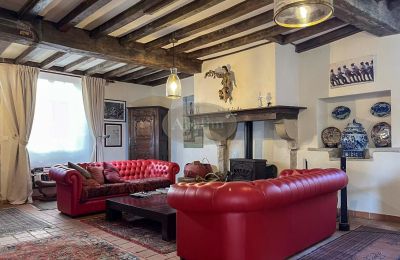 Historisk eiendom til salgs Sauveterre-de-Béarn, Nouvelle-Aquitaine, Bilde 4/24