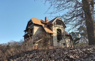 Historisk villa till salu Słubice, województwo lubuskie, Bild 3/15