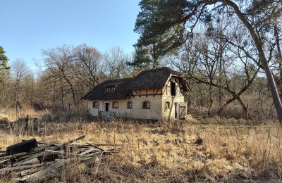 Historisk villa till salu Słubice, województwo lubuskie, Bild 4/15