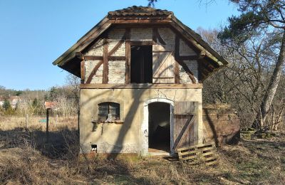 Historisk villa till salu Słubice, województwo lubuskie, Bild 5/15