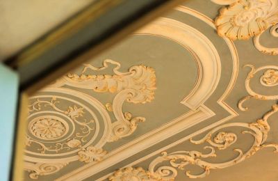 Slott till salu Capannori, Toscana, Detaljer