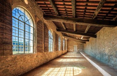 Slott till salu Capannori, Toscana, Lemon house