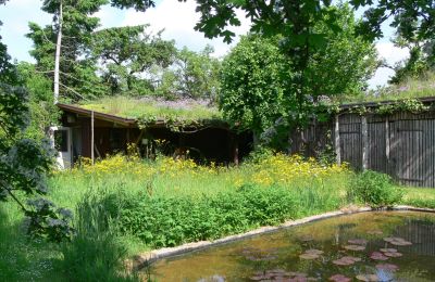 Landhaus kaufen Deutschland, Foto 6/32