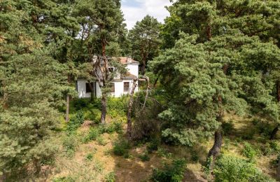 Historisk villa till salu Konstancin-Jeziorna, Mazovien, Bild 4/9