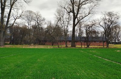 Herregård til salgs Raszków, województwo świętokrzyskie, Bilde 8/16