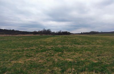 Herregård til salgs Raszków, województwo świętokrzyskie, Bilde 16/16