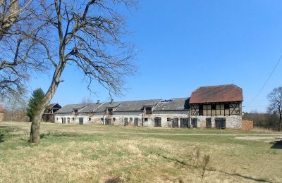 Herregård til salg województwo lubuskie, Billede 5/16