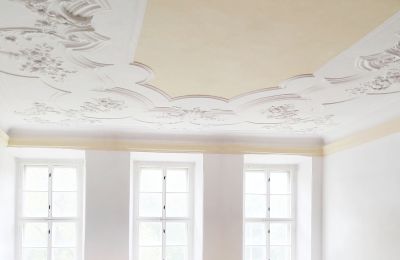 Slott til salgs 04603 Nobitz, Thüringen, Bilde 4/10