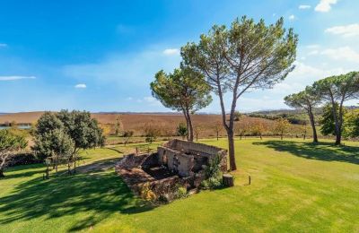 Landhaus kaufen Monteroni d'Arbia, Toskana, Foto 14/39