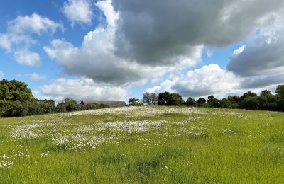 Herrgård till salu Brandenburg, Koppel