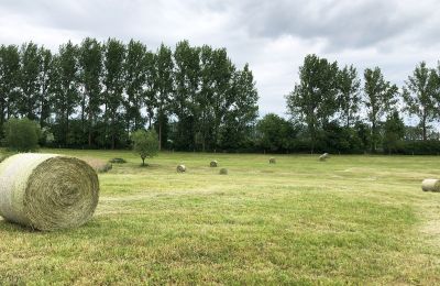 Herrgård till salu Brandenburg, Koppel