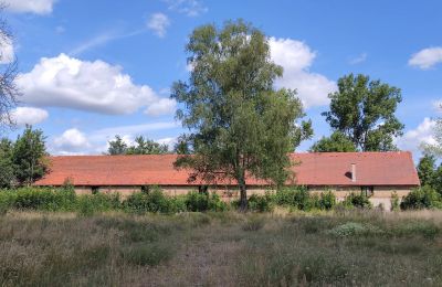 Herregård til salg 66-300 Bobowicko, Lubusz, Billede 11/14